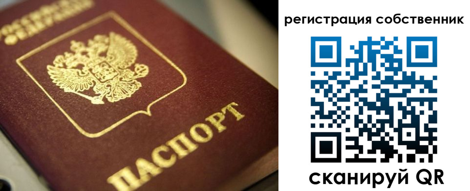 прописка в Коркино